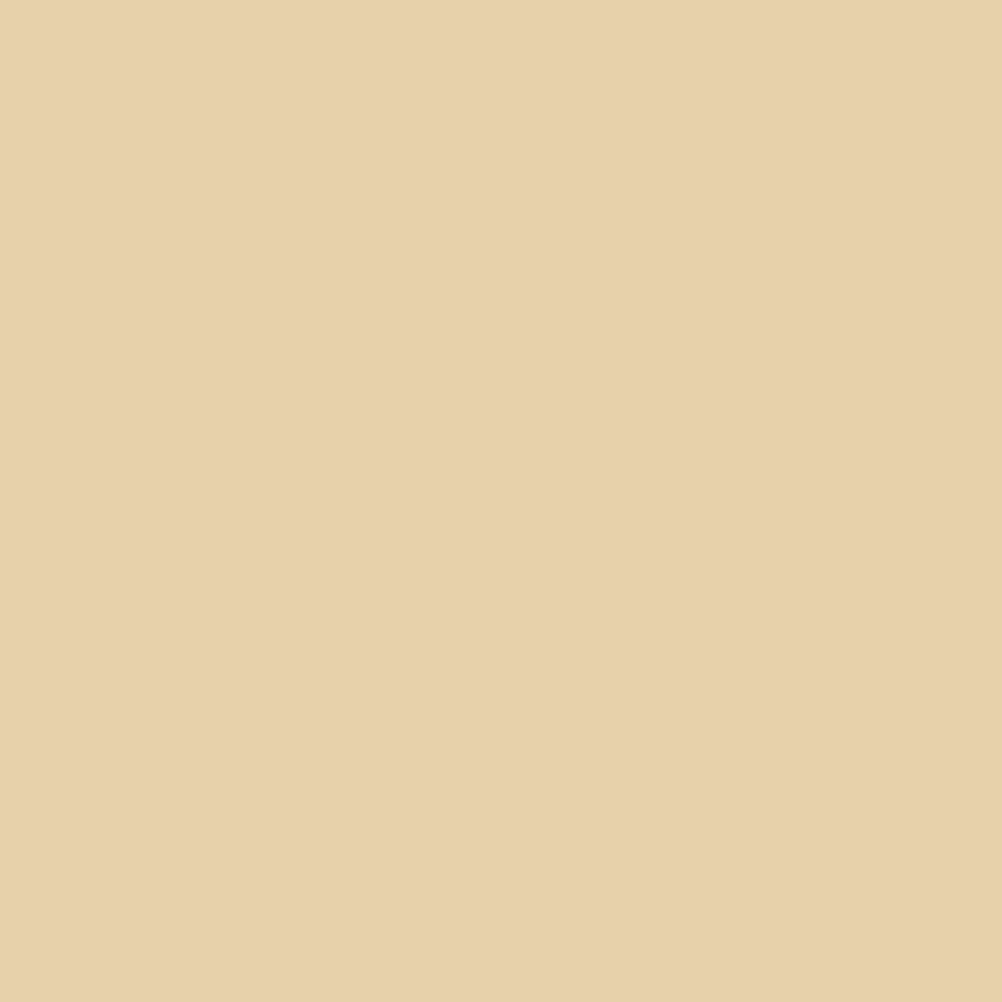 Betume para Juntas Webercolor Premium + Classic Bege 5kg